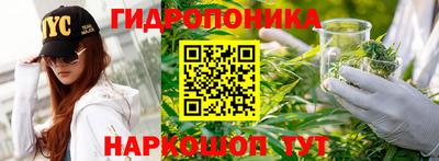 спайс Коммунар